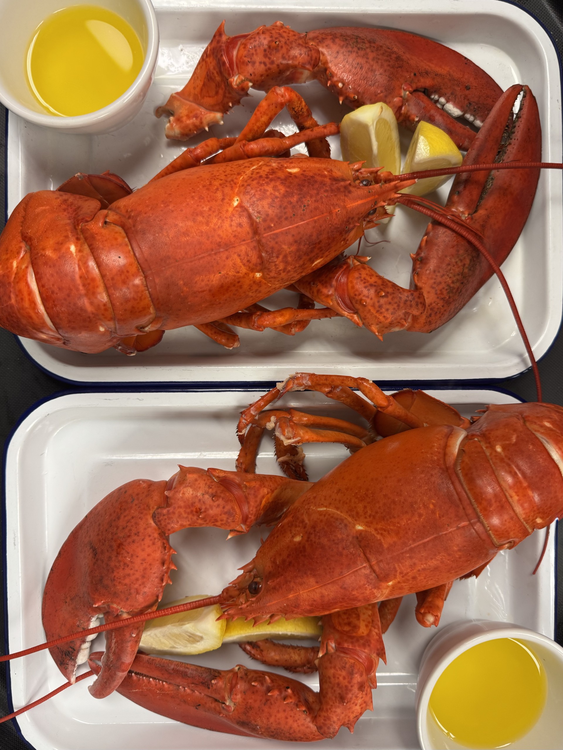 twin lobsters